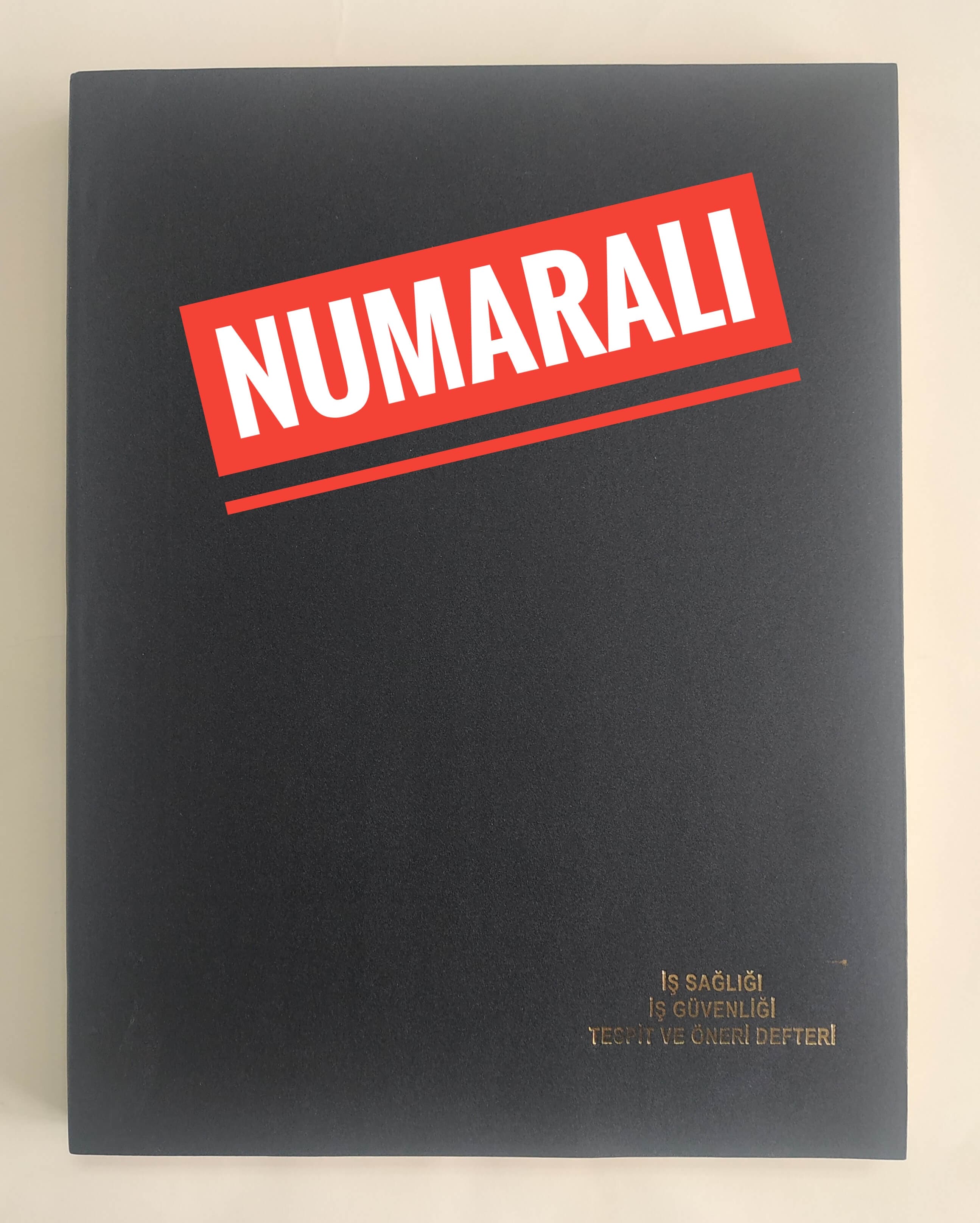 Numaralı İş Sağlığı ve Güvenliği